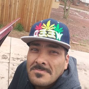 Meet your Posher, Phillip